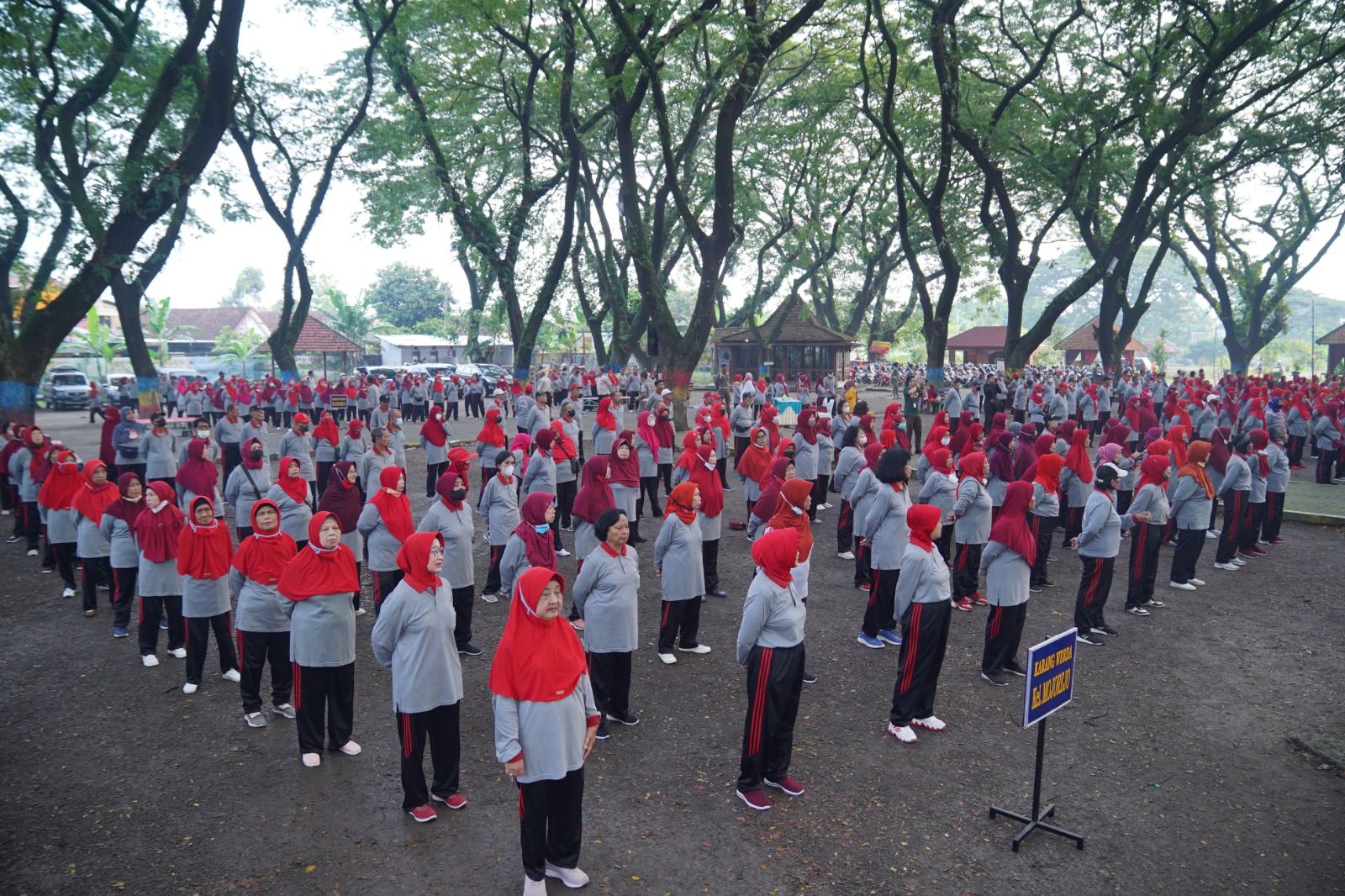 Gelar Senam Lansia, Wali Kota Sosialisasikan Program Laptop Gratis